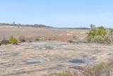  Tamaha - Photo 9