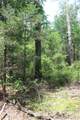 5 1909 Road - Photo 5