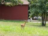 86 Edge Water Road - Photo 25