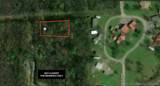 31202 Deer Run Road - Photo 3