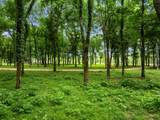 56 River Landing Trail - Photo 6