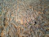 29995 Qualls Road - Photo 15