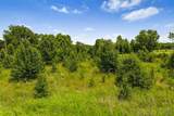 132 State Hwy 51 - Photo 27