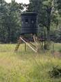 00000 301st West Avenue - Photo 13