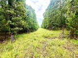 12287 809 Road - Photo 13