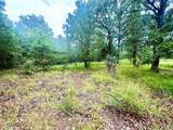 12287 809 Road - Photo 3