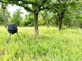 12287 809 Road - Photo 9