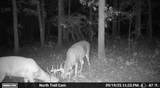  1100 Road - Photo 11