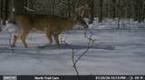  1100 Road - Photo 13