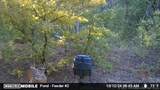  1100 Road - Photo 6