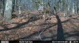  1100 Road - Photo 8