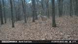  1100 Road - Photo 9