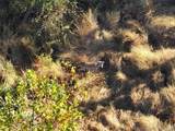  1260 Road - Photo 15