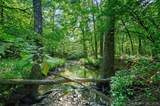 66 Aged Acacia Trail - Photo 3