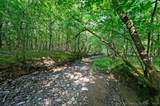 66 Aged Acacia Trail - Photo 4