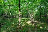 66 Aged Acacia Trail - Photo 5