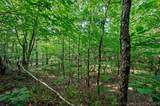 66 Aged Acacia Trail - Photo 7