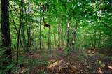66 Aged Acacia Trail - Photo 8