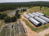 301253 County Road 1790 - Photo 9