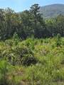  Rural Route - Photo 10