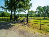 167966 4290 Road - Photo 34