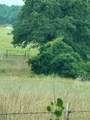 239 Snipe - Photo 6