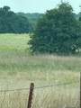239 Snipe - Photo 7
