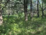 004 Wade - Photo 2