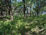 004 Wade - Photo 4