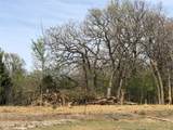  Castle Creek Drive - Photo 3
