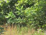 00 4710 Road - Photo 21