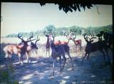 00 4710 Road - Photo 26