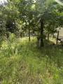114530 1145 - Photo 4