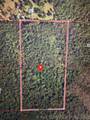 469806 62 Highway - Photo 7