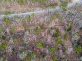  Hwy 1 - Photo 6