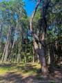 2 2030 Road - Photo 12