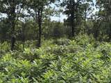  Double Springs Road - Photo 2