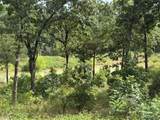  Double Springs Road - Photo 4