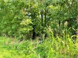  Canyon Rock Road - Photo 10