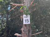 15 Anvil Way - Photo 6