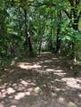  024 - Photo 5