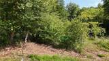  024 - Photo 7