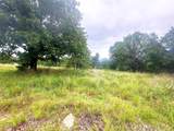 41 Loop - Photo 3