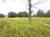 41 Loop - Photo 8