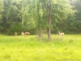 41 Loop - Photo 9