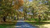 30397 567 Road - Photo 2