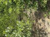 2291 Crosswinds Circle - Photo 6