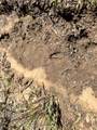 623 Dozer Mountain Road - Photo 14