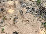623 Dozer Mountain Road - Photo 24