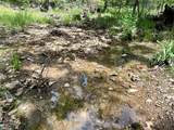 623 Dozer Mountain Road - Photo 44